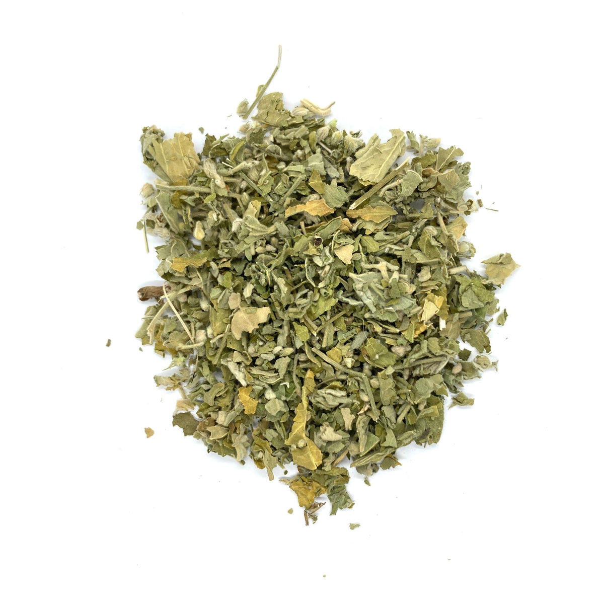 Salvia